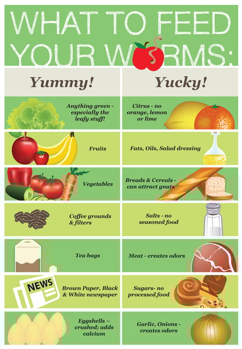 graphic-what-to-feed-worm-bin